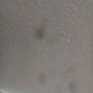 Meet your Posher, Hoven